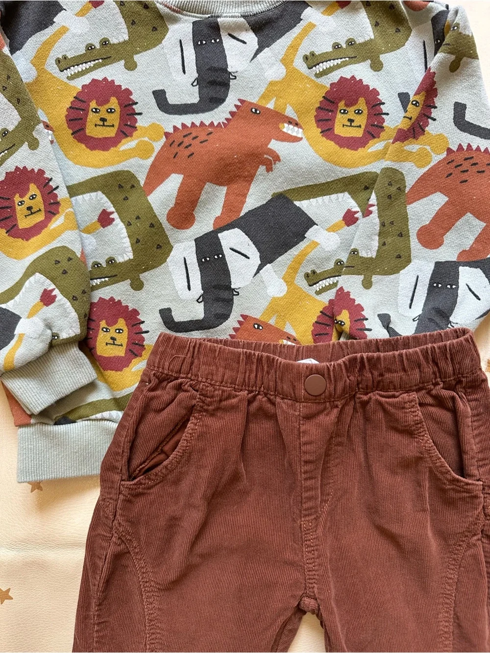 4/5 Zara Animal Print Crewneck & Brown Corduroy Pants